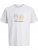 Jack & Jones Calma Crew Neck T-Shirt Gray Dawn - Kratke Majice - Moške kratke majice za močnejše postave