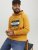 Jack & Jones Codyy Hoodie Yellow - Puloverji & jopice - Moški Puloverji & Jopice za Močnejše Postave