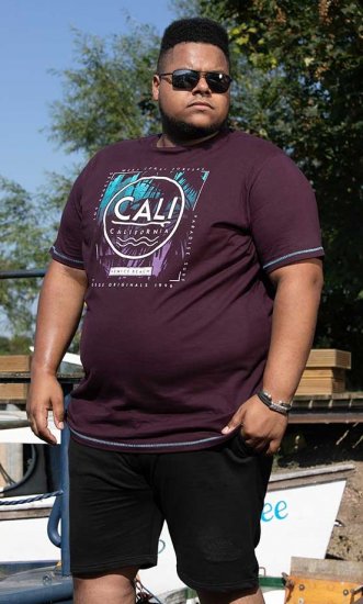 D555 NOVA Cali Surf Printed Crew Neck T-Shirt Plum - Kratke Majice - Moške kratke majice za močnejše postave