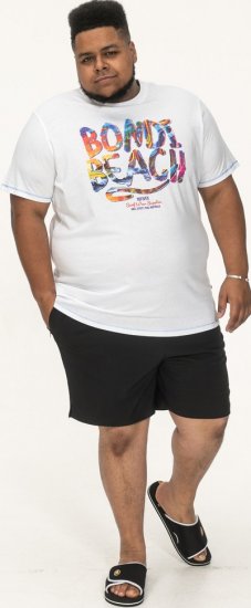 D555 SYDNEY Multi Coloured Bondi Beach Printed T-Shirt White - Kratke Majice - Moške kratke majice za močnejše postave