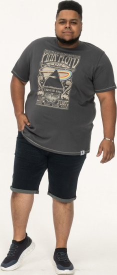 D555 HANLEY Official Pink Floyd Crew Neck T-Shirt Dark Grey - Kratke Majice - Moške kratke majice za močnejše postave