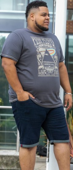 D555 HANLEY Official Pink Floyd Crew Neck T-Shirt Dark Grey TALL SIZES - MOŠKA OBLAČILA MT-6XLT - DALJŠI kroji