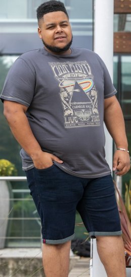 D555 HANLEY Official Pink Floyd Crew Neck T-Shirt Dark Grey TALL SIZES - MOŠKA OBLAČILA MT-6XLT - DALJŠI kroji