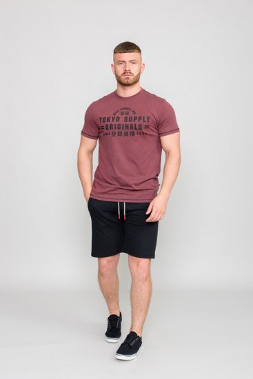 D555 LINTON Printed T-Shirt - Kratke Majice - Moške kratke majice za močnejše postave