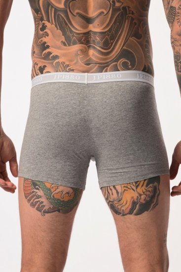 JP1880 Boxershorts Flexnamic OEKO-TEX Mid 2-Pack Grey/Off-White - Spodnje perilo & kopalne hlače - Moško Spodnje Perilo za močnejše postave