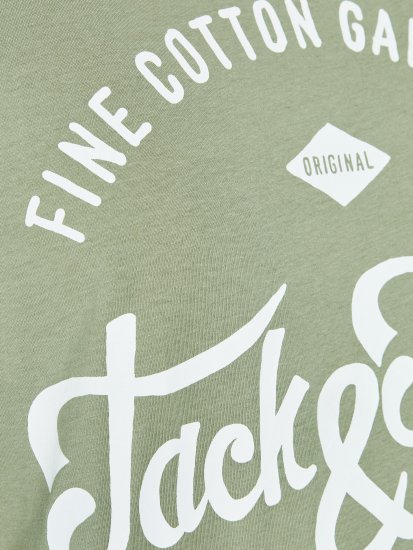 Jack & Jones JJERAFA TEE Light Green - Kratke Majice - Moške kratke majice za močnejše postave