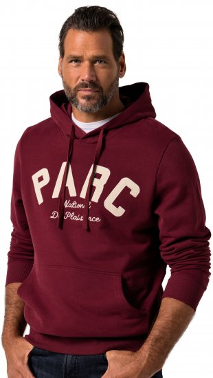 JP1880 Hoodie with Embroidery Aubergine - Puloverji & jopice - Moški Puloverji & Jopice za Močnejše Postave
