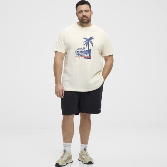 North Latitude T-Shirt Printed Off-White - Kratke Majice - Moške kratke majice za močnejše postave